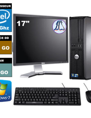 Ordinateur Dell Optiplex 740/745 80Go DD 2Go RAM+ Ecran 17
