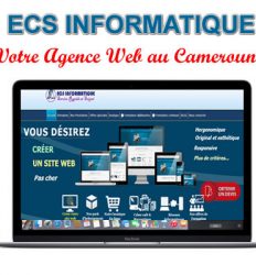 Agence web au Cameroun, en Afrique et dans le monde en 2025