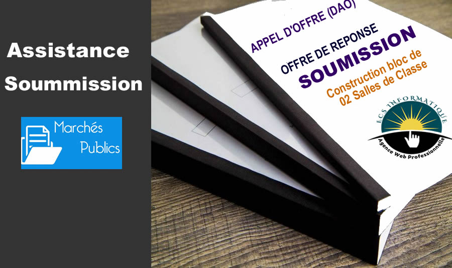 business plan agriculture en afrique Assistance soumission appel d'offres