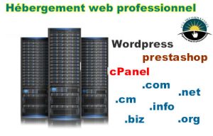 Hébergement web professionnel au Cameroun et en Afrique Centrale