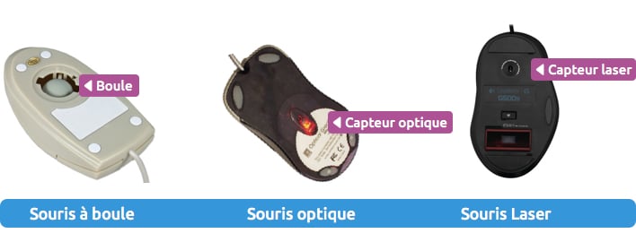 Découvrez les trois types de souris les plus courants Découvrez les trois types de souris les plus courants