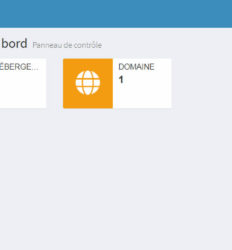 Hébergeur CPanel personnalisé pour administration simple et facile des sites web