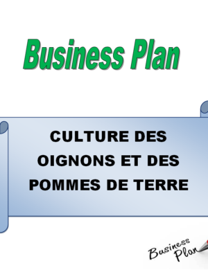 business plan culture pomme de terre