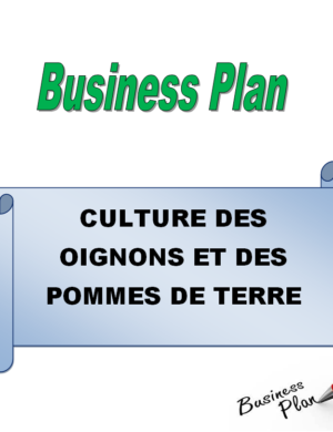 business plan agriculture en afrique business plan culture pomme de terre