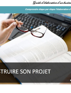 business plan agriculture en afrique Guide pour Comprendre étape par étape l'élaboration d'un business plan