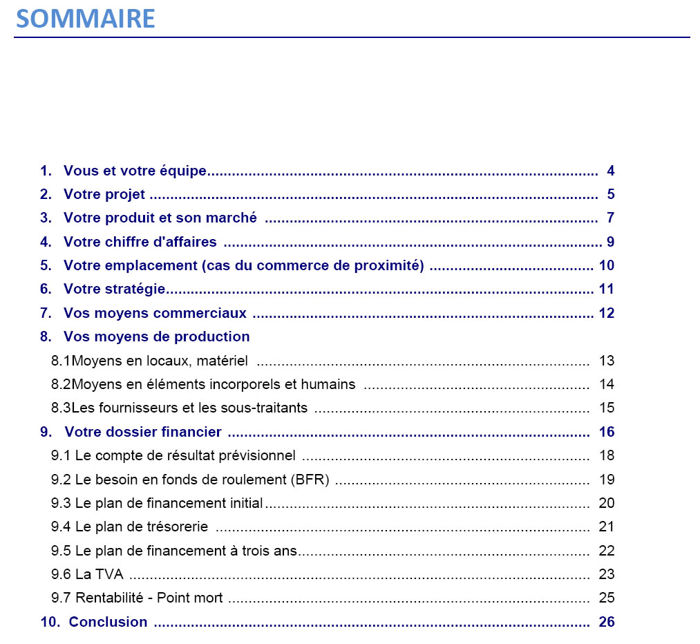 sommaire type business plan