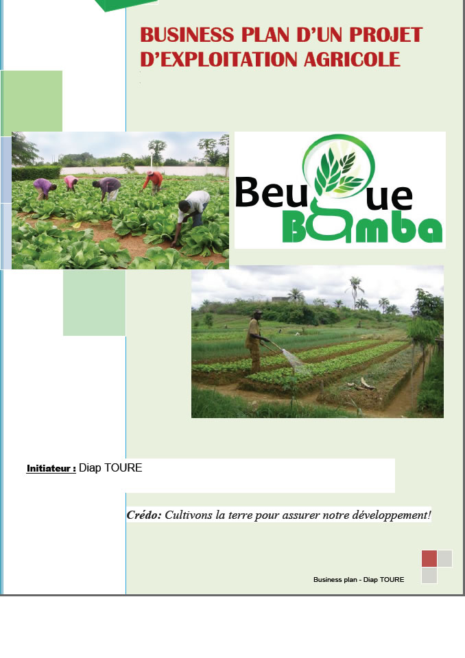 Exemple De Business Plan Agricole Pomme De Terre Et Oignons Pdf