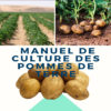 manuel culture pomme de terre