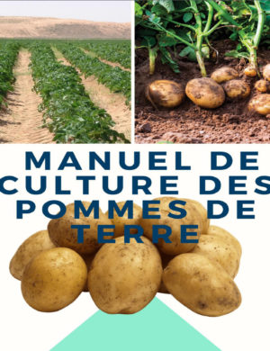 business plan agriculture en afrique manuel culture pomme de terre