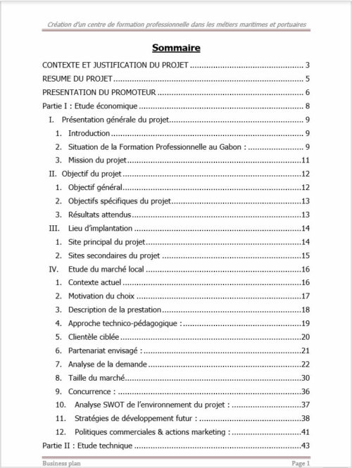 sommaire type business plan