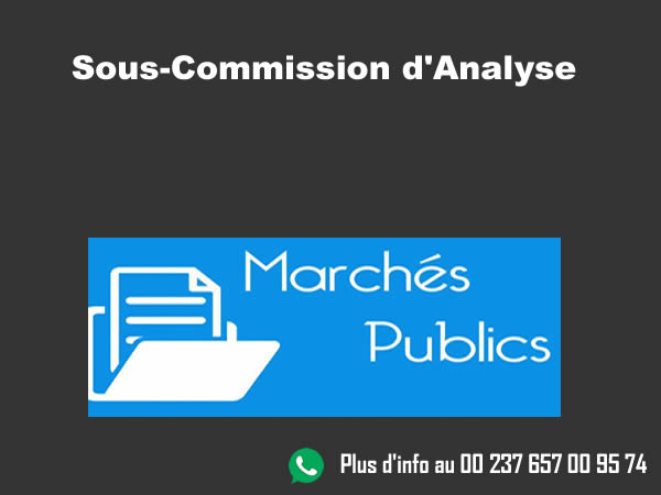Sous-commission d'analyse