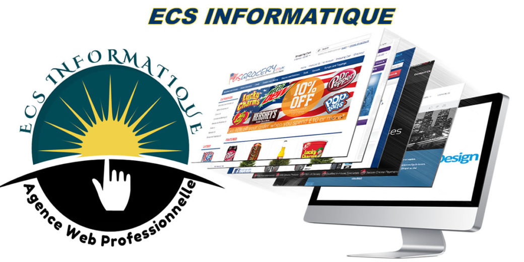 Agence Web en Afrique ECS Informatique