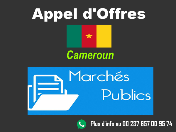 Appels d'offres Cameroun