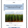 Business plan culture du maïs à télécharger (Word et Excel) – Image 3