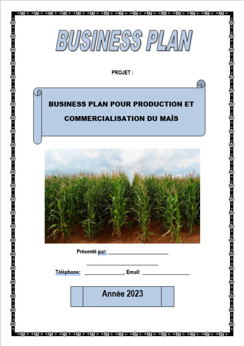 Business plan culture du maïs à télécharger (Word et Excel) – Image 3
