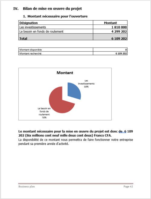 Business plan culture du maïs à télécharger (Word et Excel) – Image 7