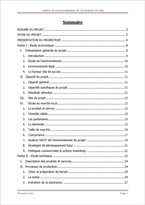 Business plan culture du maïs à télécharger (Word et Excel) – Image 4