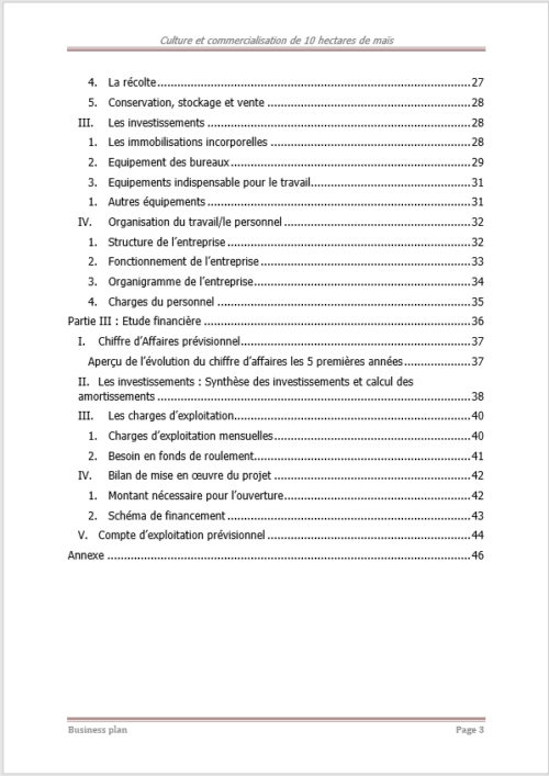 Business plan culture du maïs à télécharger (Word et Excel) – Image 5