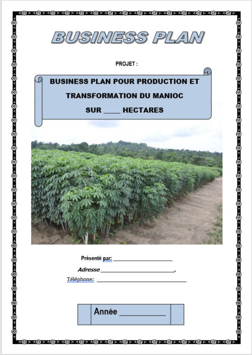 Business plan culture du manioc à télécharger (Word et PDF) – Image 2