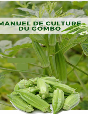 Manuel culture du gombo