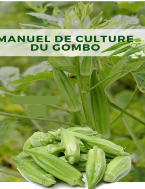 business plan agriculture en afrique Manuel culture du gombo