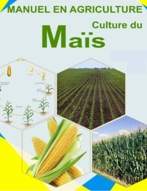 business plan agriculture en afrique Manuel culture du maïs