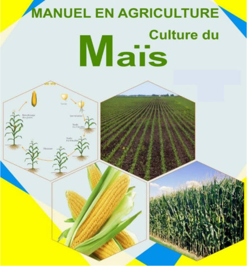 Manuel culture du maïs