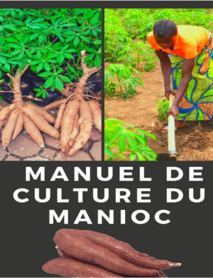 Manuel culture du manioc