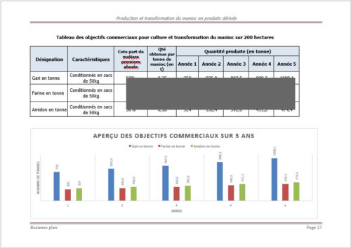 Objectif commerciaux business plan manioc