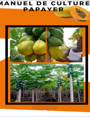 business plan agriculture en afrique manuel culture papaye