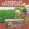 Manuel culture patate