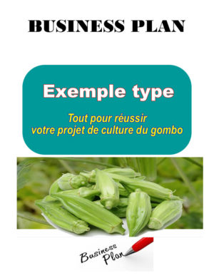 business plan agriculture en afrique
