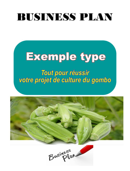 Business plan culture du gombo à télécharger (Word et PDF)