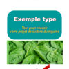 Business plan culture du legume
