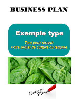 Business plan culture du legume