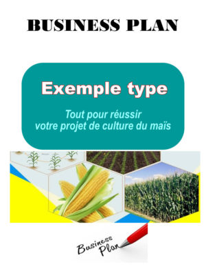 business plan agriculture en afrique Business plan culture du maïs