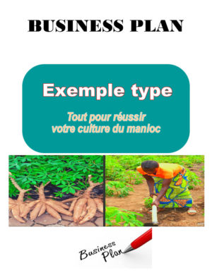 business plan agriculture en afrique Business plan culture du manioc