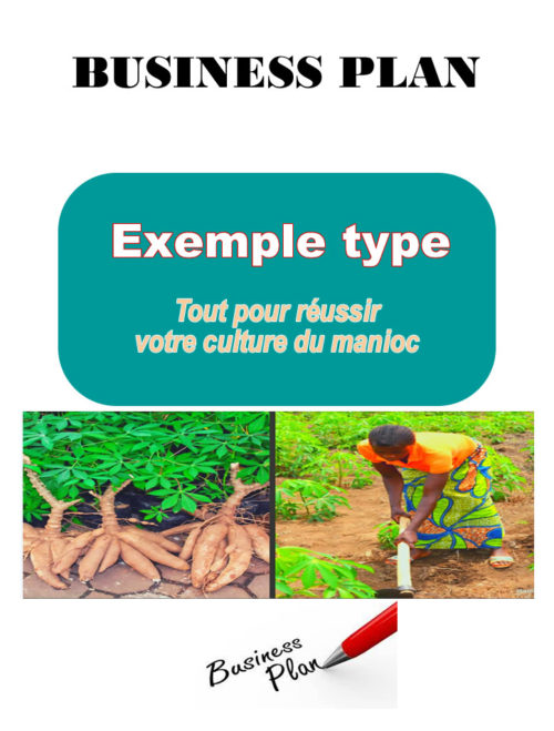 business plan pour un hectare de manioc