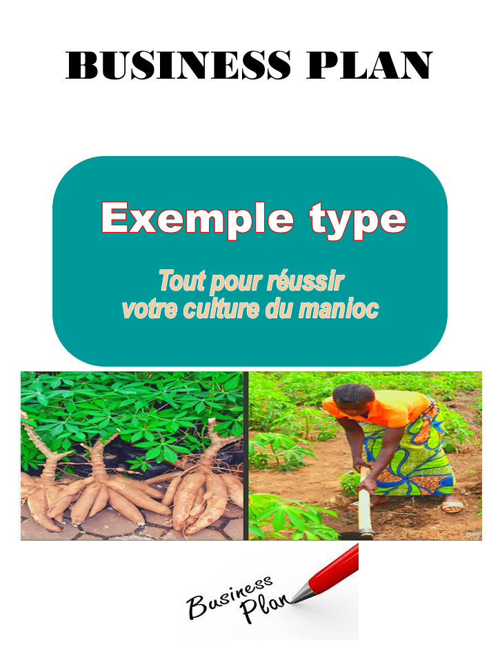Business plan culture du manioc