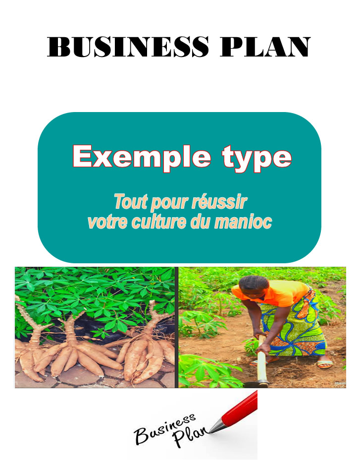 business plan manioc Business plan culture du manioc
