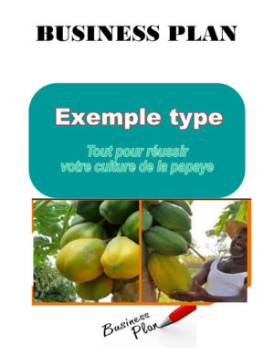 Business plan de culture de la papaye à télécharger (Word et PDF)