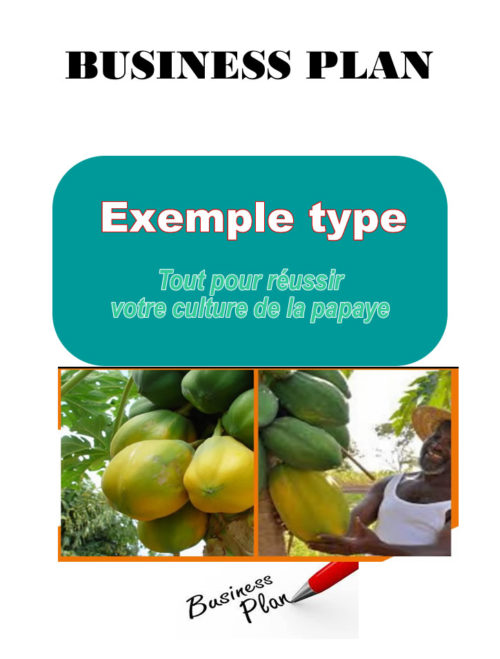 Business plan de culture de la papaye à télécharger (Word et PDF)