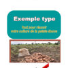 Business plan patate
