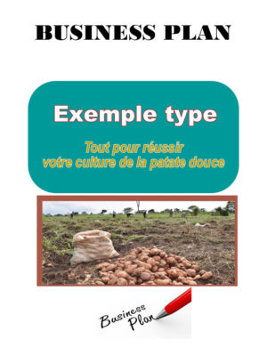 business plan agriculture en afrique Business plan patate