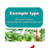 Business plan culture du poivron à télécharger (Word et PDF)