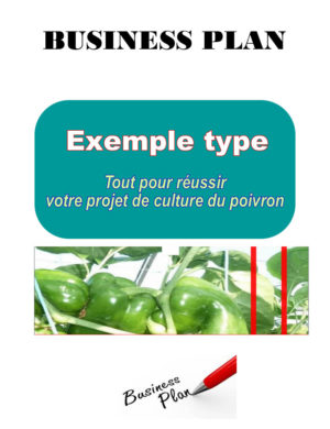 business plan agriculture en afrique