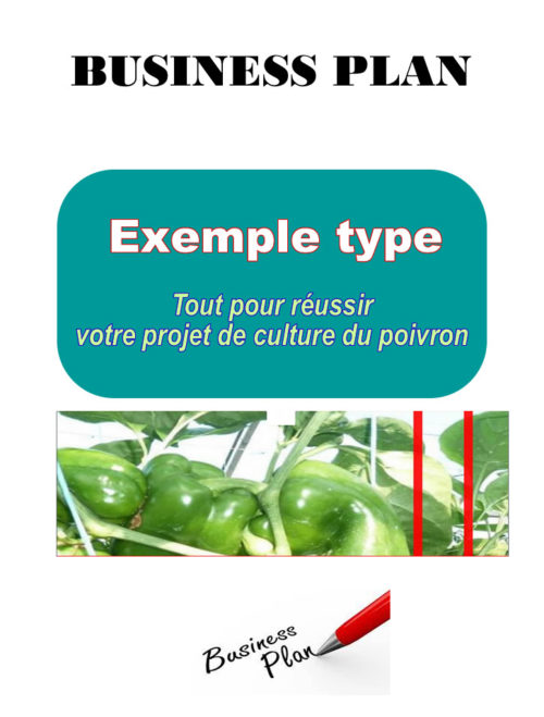 Business plan culture du poivron à télécharger (Word et PDF)