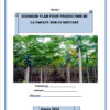 Couverture business plan papaye