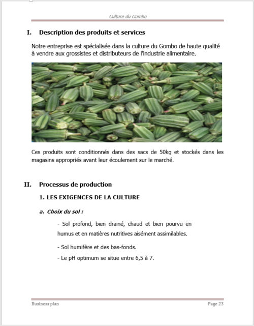 Business plan culture du gombo à télécharger (Word et PDF) – Image 5