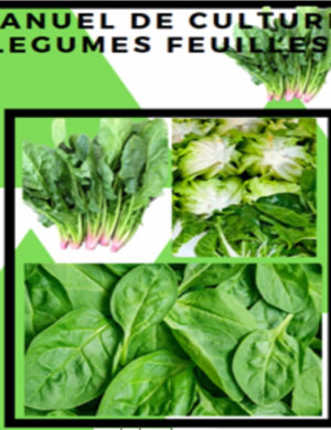 business plan agriculture en afrique Manuel culture legume